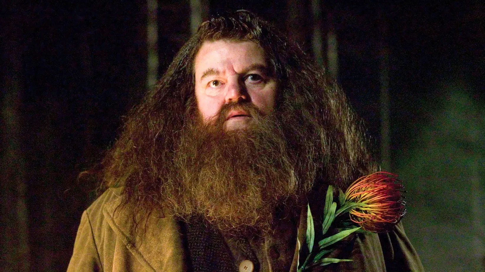img/456_short-hair-and-a-big-beard-the-manly-look.webp