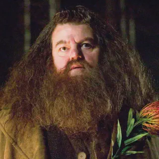 img/456_short-hair-and-a-big-beard-the-manly-look.webp