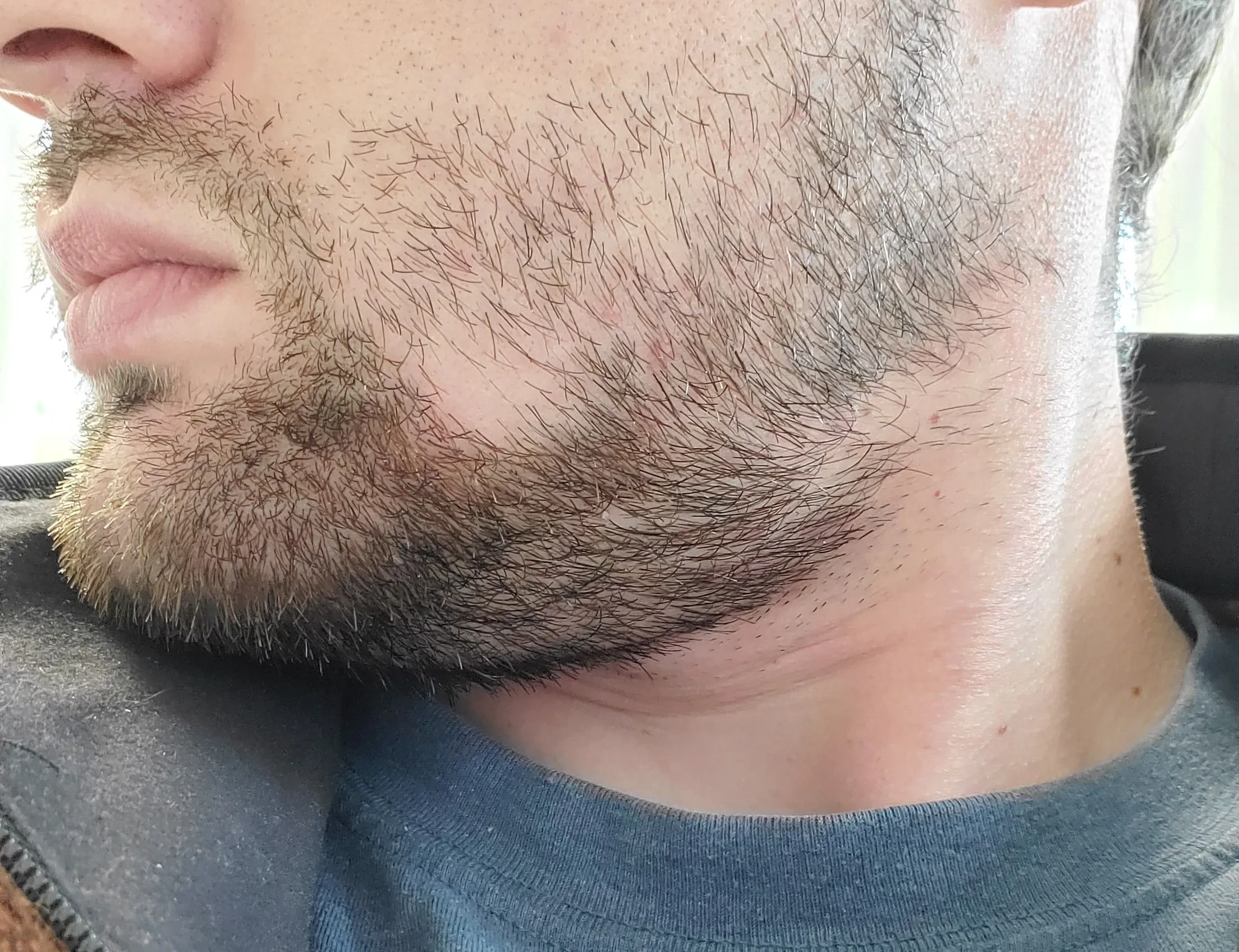 img/481_rocking-a-thin-beard-with-long-hair.webp