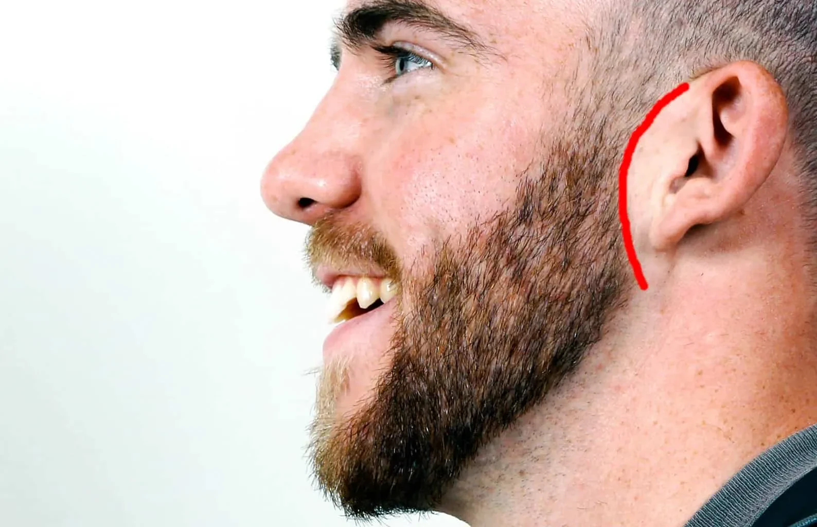 img/647_finding-the-perfect-beard-style-for-your-face-shape.webp