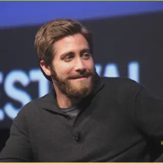 img/658_jake-gyllenhaals-beard-game-a-deep-dive.webp